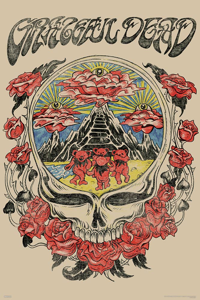 Pyramid America - Grateful Dead - Skull Vision 24x36 Poster