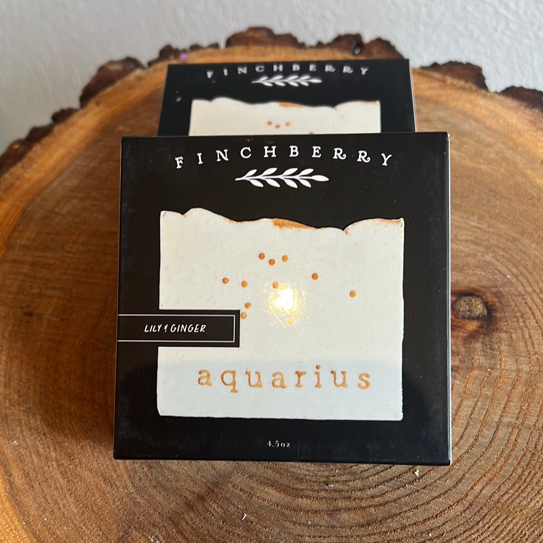 Aquarius Zodiac Soap