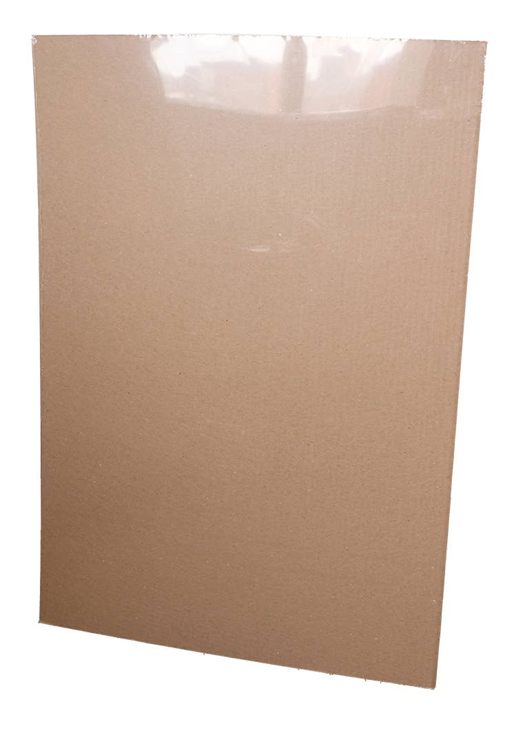 Pyramid America - Pink Floyd - Carnegie Hall ‘72 Poster