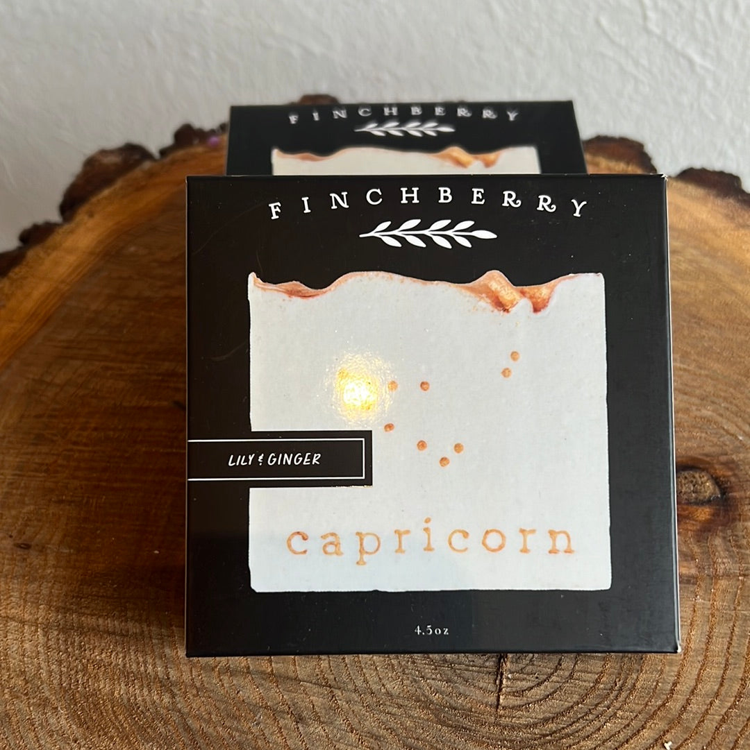 Capricorn Zodiac Soap