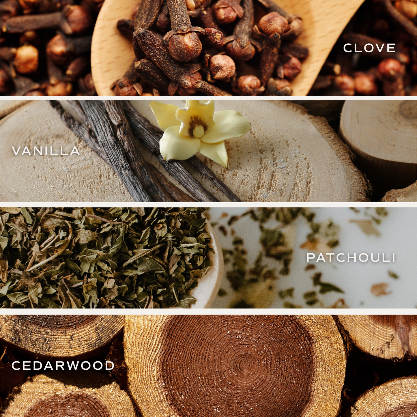 Sweet Water Decor - Palo Santo Patchouli 11 oz Soy Candle - Home Decor & Gifts