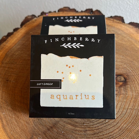 Aquarius Zodiac Soap