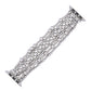 Cape Diablo - Platinum Demure Stretch Apple Watch Strap